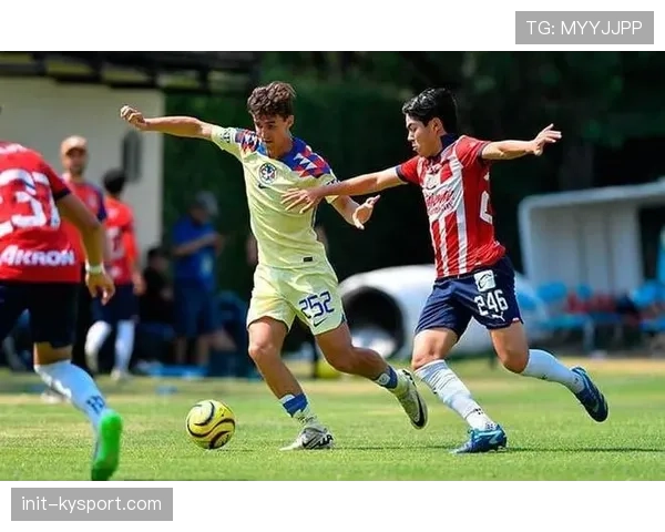 墨西哥城常规赛圆满结束，联盟评估未来在此增设球队的可能性